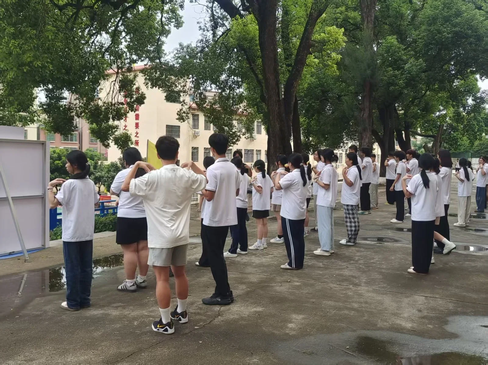 文档图片3